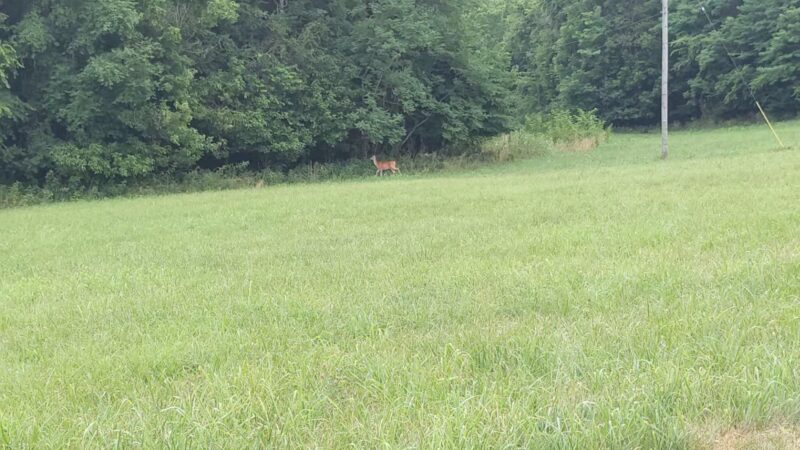 Mackville Walking Trail - Mackville, KY