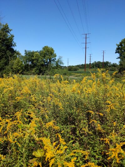 Danfield Run Passive Recreation Area - Macungie, PA