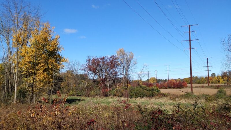 Danfield Run Passive Recreation Area - Macungie, PA