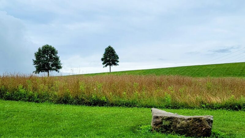 Danfield Run Passive Recreation Area - Macungie, PA