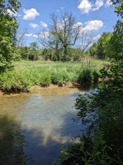 Danfield Run Passive Recreation Area - Macungie, PA