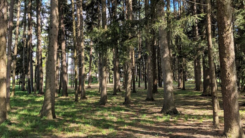 Kalmbach Memorial Park - Macungie, PA