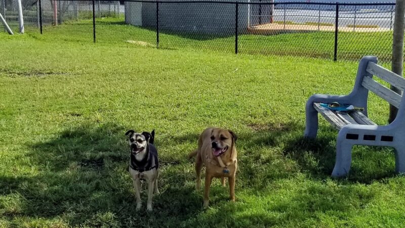 Madeira Beach Dog Park - Madeira Beach, FL