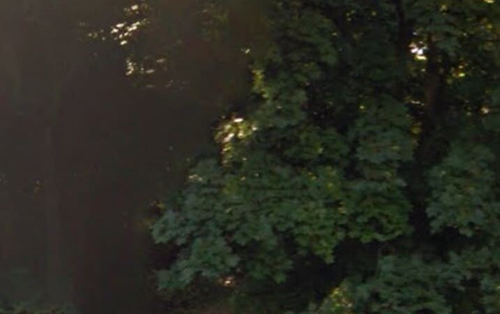 Central Green Park - Madison, NJ