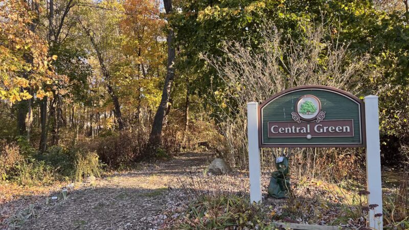 Central Green Park - Madison, NJ