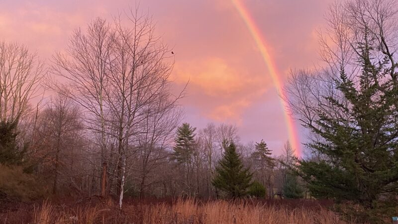 Giralda Farms - Madison, NJ