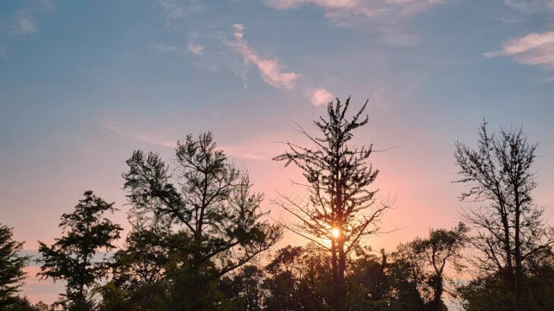 Giralda Farms - Madison, NJ