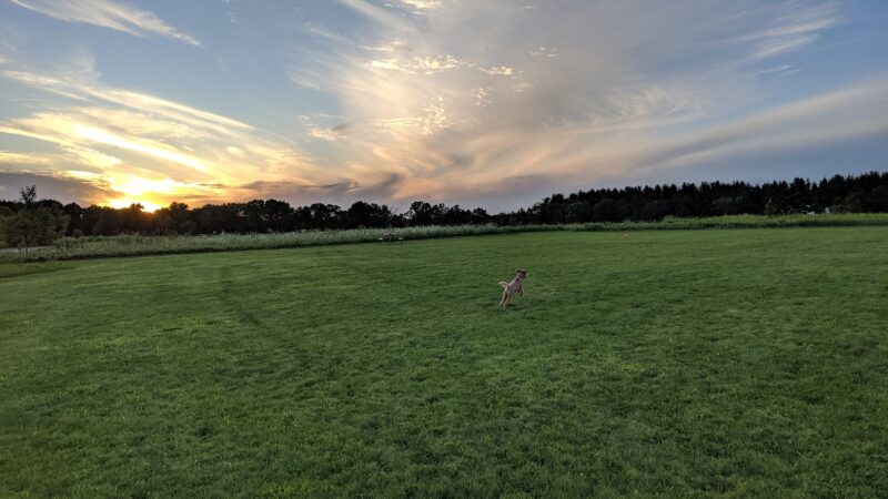 Capital Springs Dog Park - Madison, WI