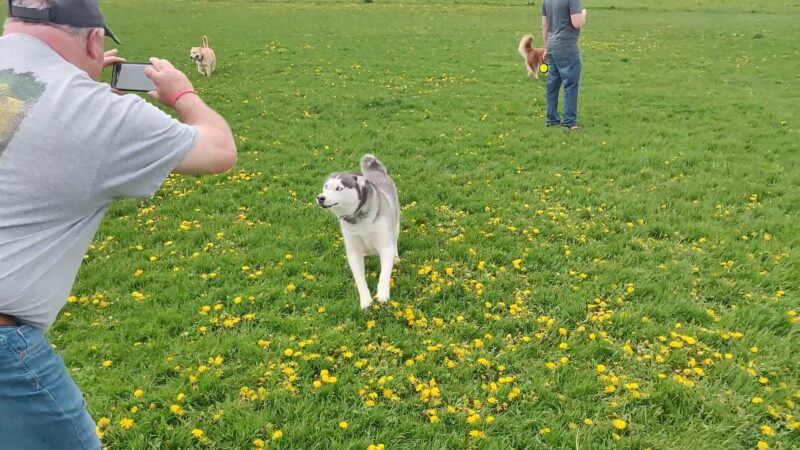 Capital Springs Dog Park - Madison, WI