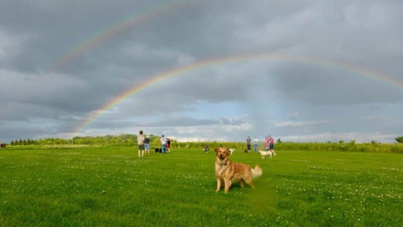 Capital Springs Dog Park - Madison, WI