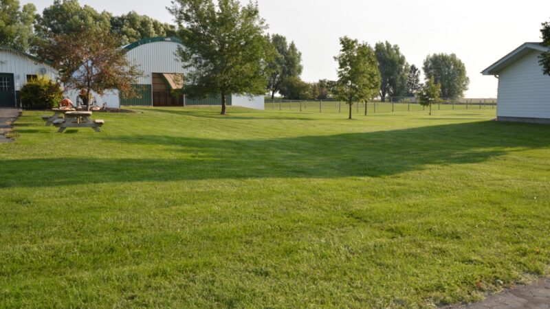 Big Creek Pet Lodge - Madrid, IA
