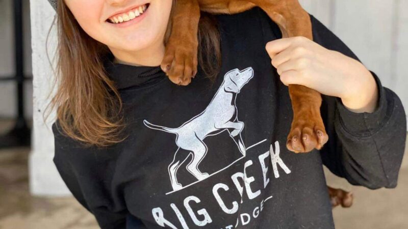 Big Creek Pet Lodge - Madrid, IA