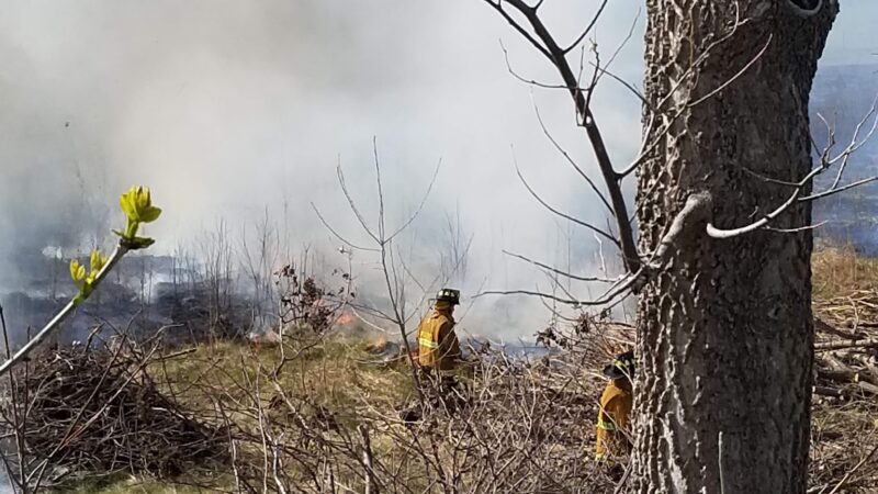Dalander park / Johnson trailhead - Madrid, IA