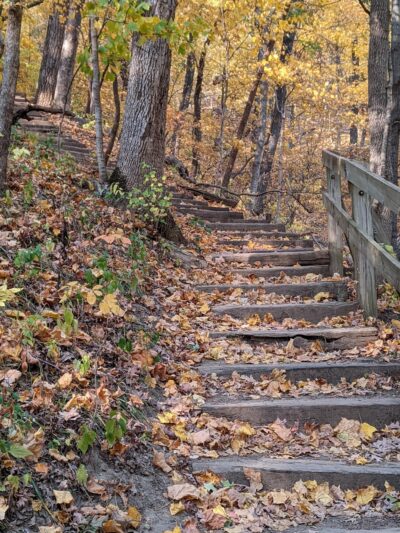 Ledges State Park - Madrid, IA