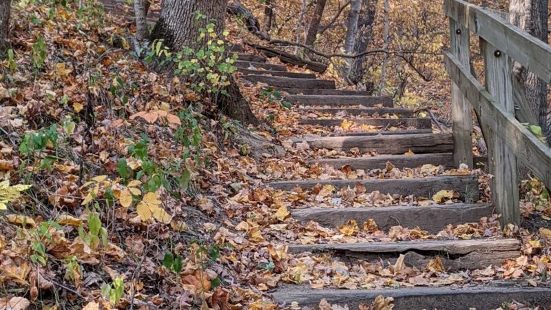 Ledges State Park - Madrid, IA