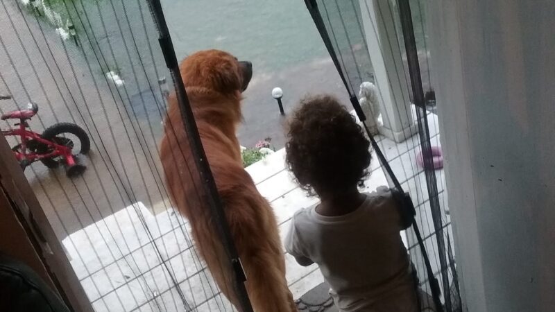 Hospital Park - Magnolia, AR