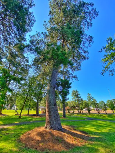 Hospital Park - Magnolia, AR