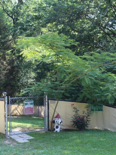 Magnolia RV Park - Magnolia, AR