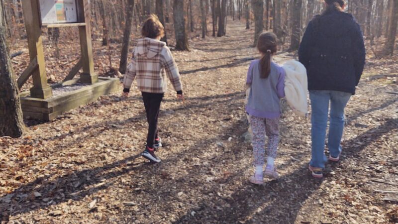 Volz Park - Mahopac, NY