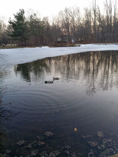 Airmount Park - Mahwah, NJ