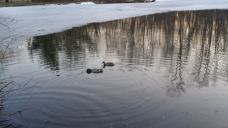 Airmount Park - Mahwah, NJ