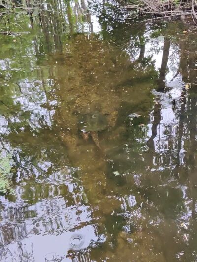 Airmount Park - Mahwah, NJ
