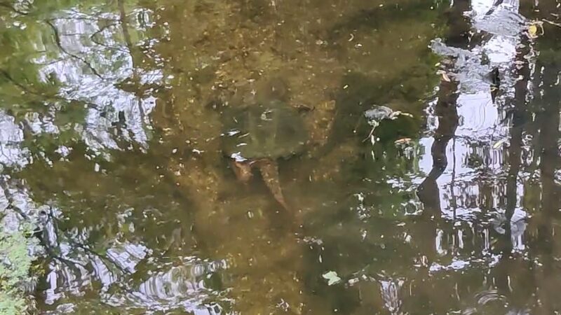 Airmount Park - Mahwah, NJ