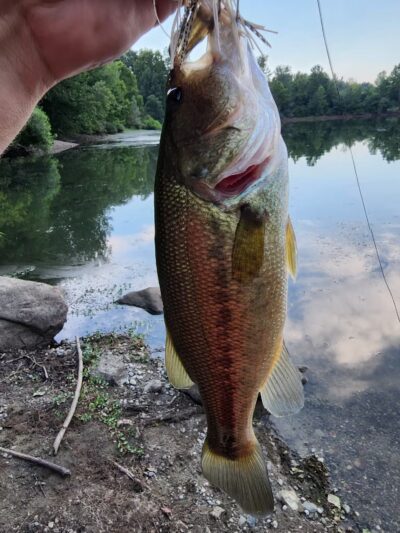 Mary Patrick Park - Mahwah, NJ