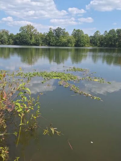 Mary Patrick Park - Mahwah, NJ