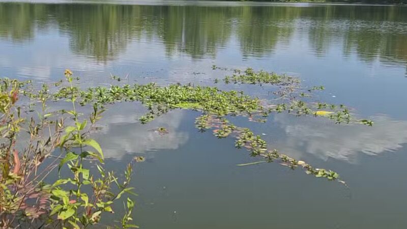 Mary Patrick Park - Mahwah, NJ