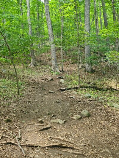 Ramapo River Access - Ramapo Reservation - Mahwah, NJ