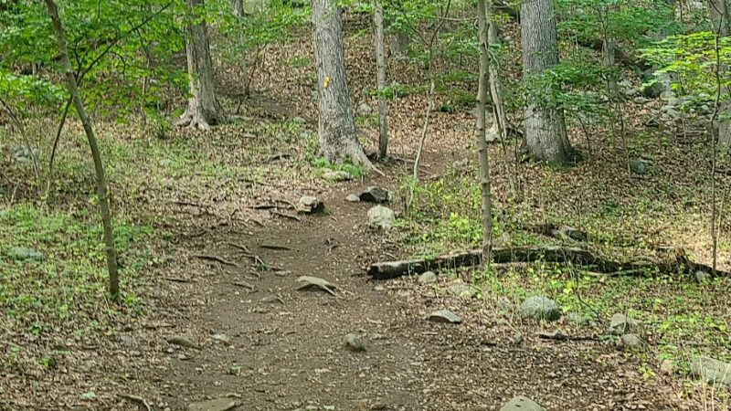 Ramapo River Access - Ramapo Reservation - Mahwah, NJ