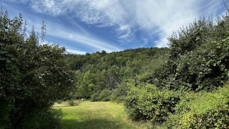 Ramapo River Access - Ramapo Reservation - Mahwah, NJ