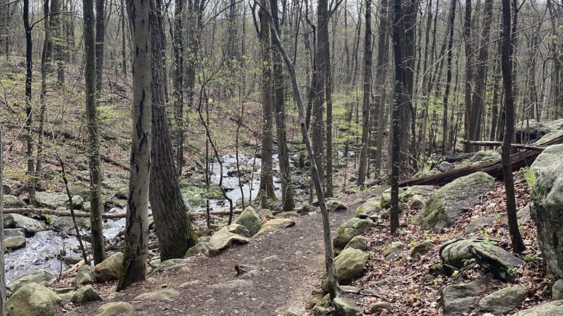 Ramapo Valley County Reservation - Mahwah, NJ
