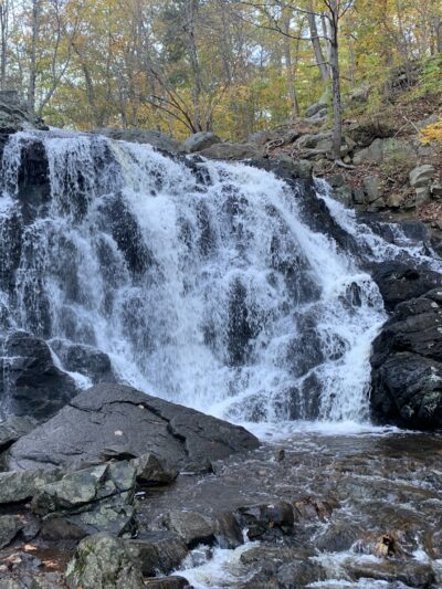 Ramapo Valley County Reservation - Mahwah, NJ