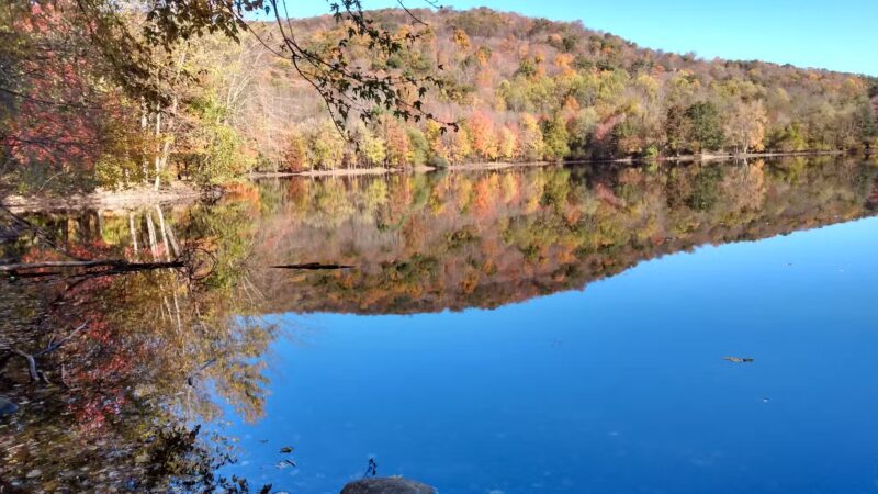 Ramapo Valley County Reservation - Mahwah, NJ