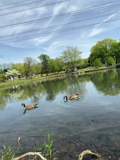 Winter's Park - Mahwah, NJ