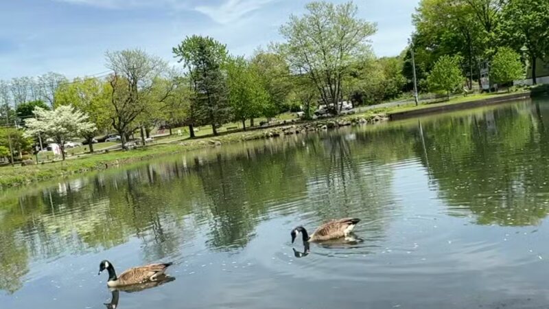 Winter's Park - Mahwah, NJ