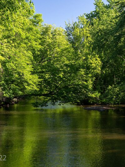 Scarlet Oak Pond Walk - Mahwah, NJ