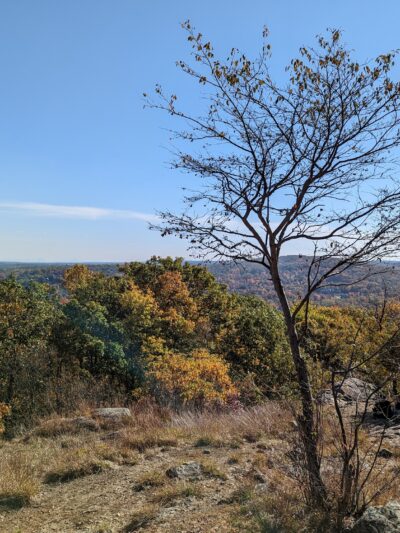 Scarlet Oak Pond Walk - Mahwah, NJ