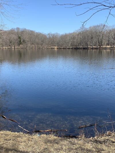 Scarlet Oak Pond Walk - Mahwah, NJ