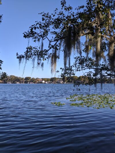 Dog Island - Maitland, FL