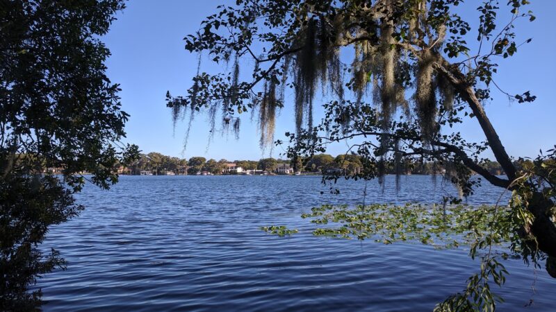 Dog Island - Maitland, FL