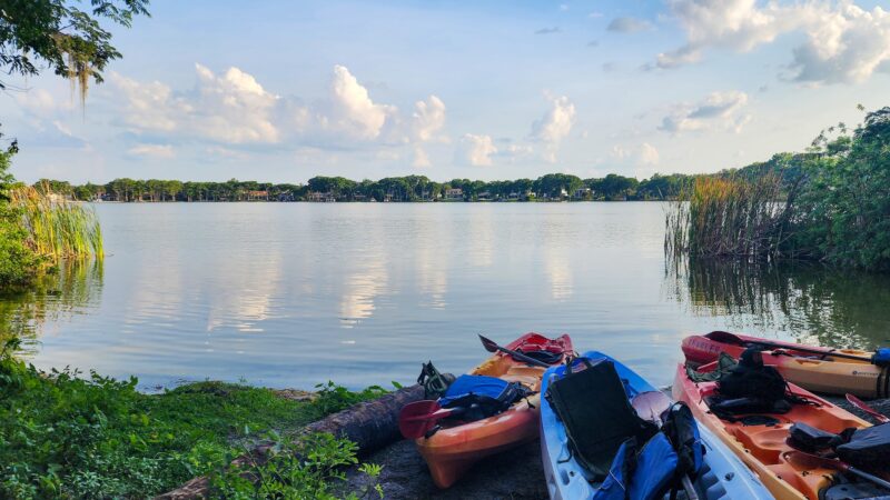 Dog Island - Maitland, FL