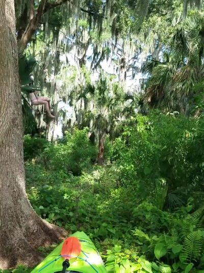 Dog Island - Maitland, FL