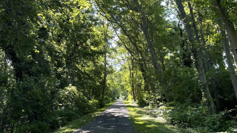 Orchard Park - Manasquan, NJ