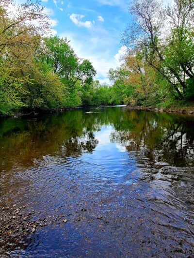 Bass Island Park - Manchester, NH