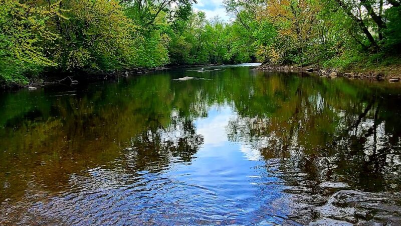 Bass Island Park - Manchester, NH