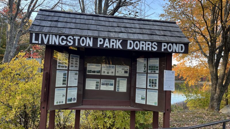 Dorrs Pond Nature Trail - Manchester, NH