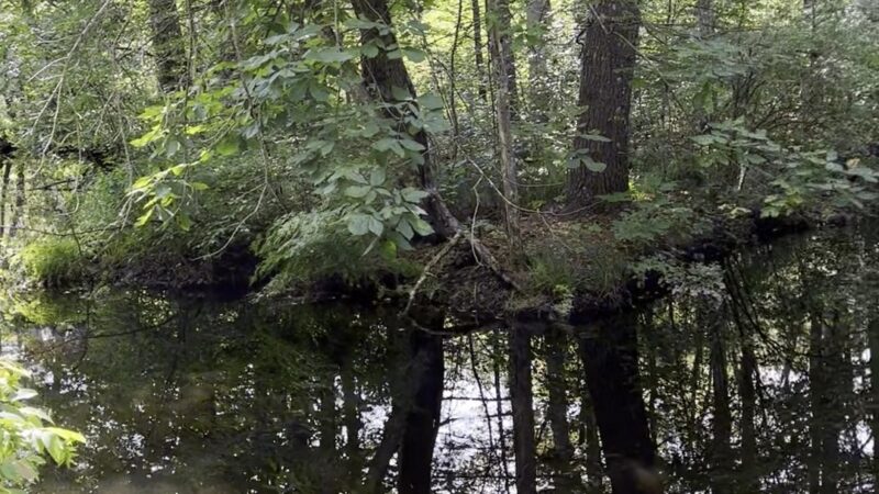 Rockingham Rail Trail - Manchester, NH